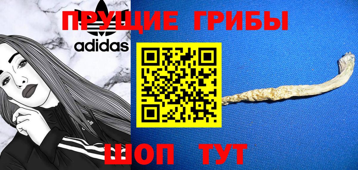 Псилоцибиновые грибы GOLDEN TEACHER Кондопога