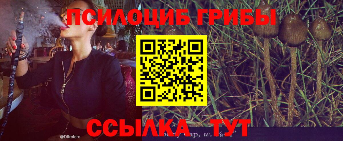 Псилоцибиновые грибы Psilocybe  Вход с VPN  магазин  наркотиков  Кондопога 